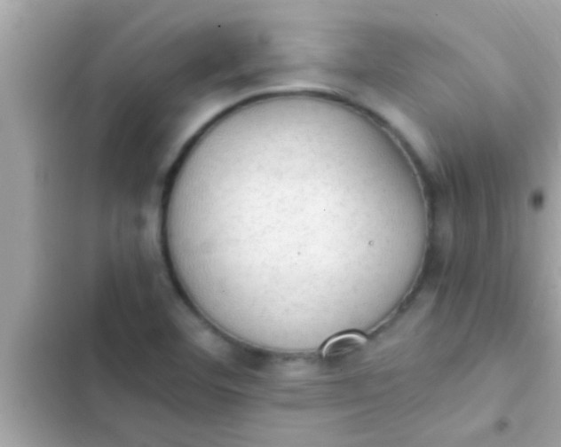 X0000102391460200808151909