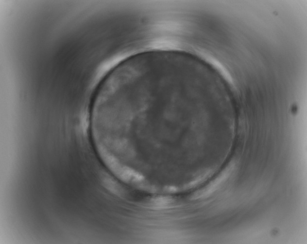 X0000102391461200808151909