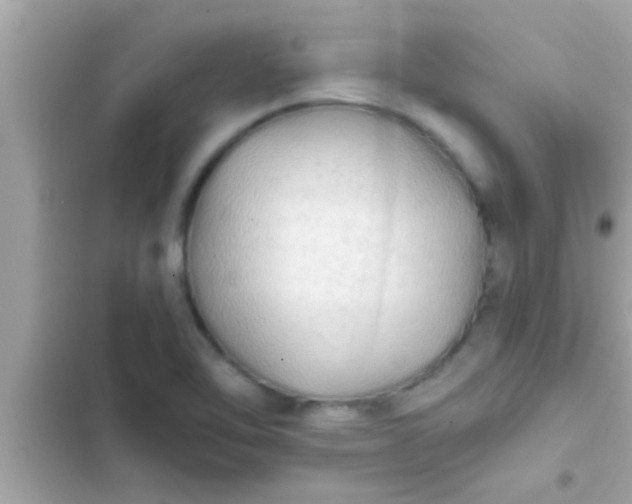 X0000102391462200808151909