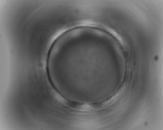 X0000102391463200808151909