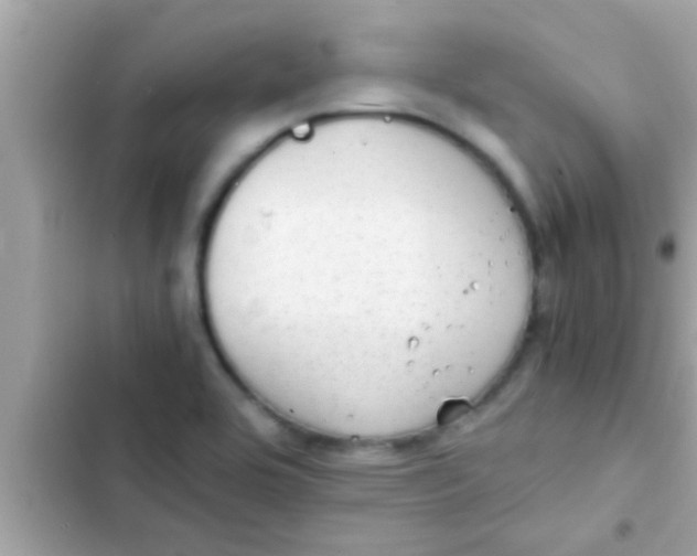 X0000102391464200808151909