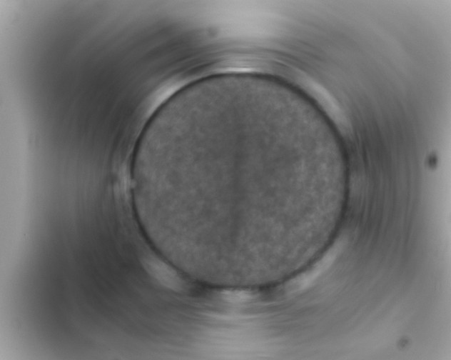 X0000102391465200808151909