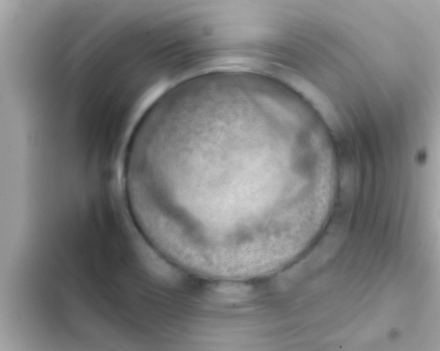 X0000102391466200808151909