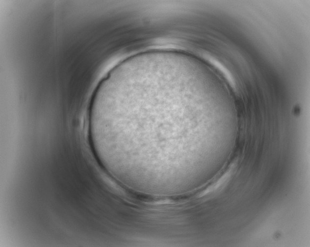 X0000102391467200808151909