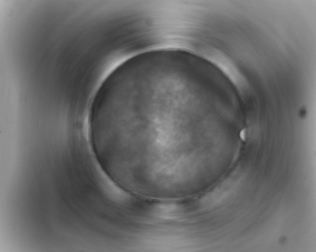 X0000102391468200808151909