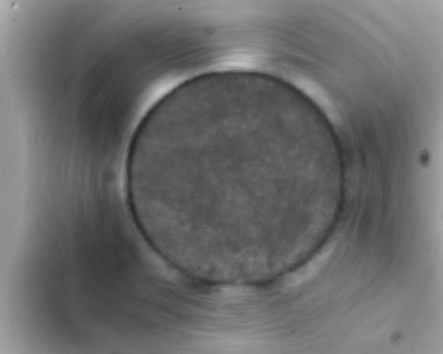 X0000102391469200808151909