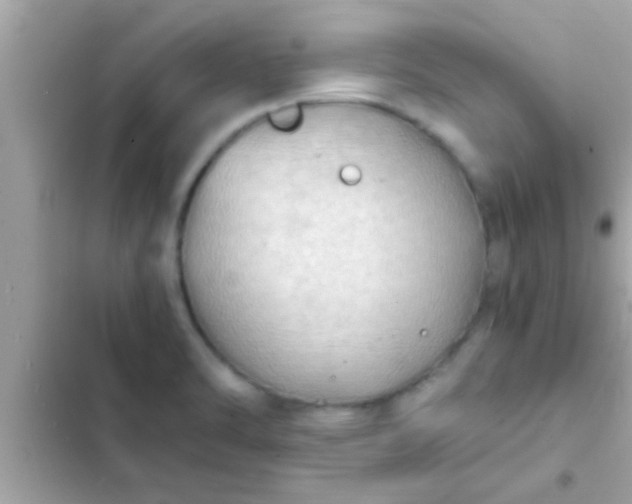 X0000102391470200808151909