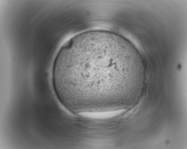 X0000102391471200808151909