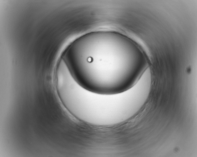 X0000102391472200808151909