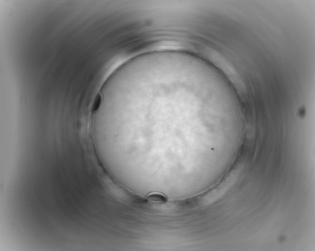 X0000102391473200808151909