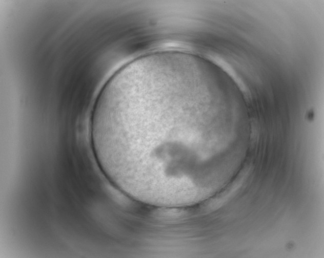 X0000102391474200808151909