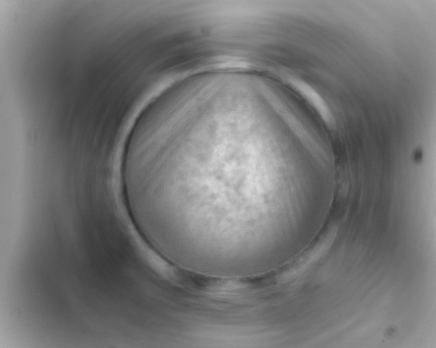 X0000102391475200808151909