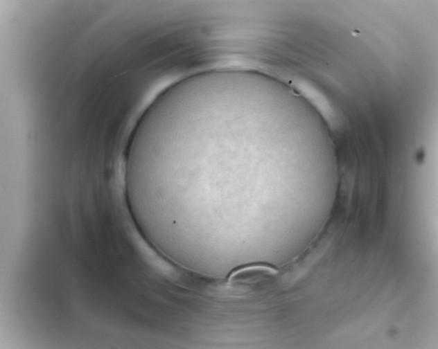 X0000102391476200808151909