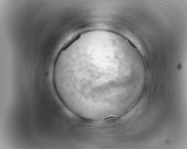 X0000102391477200808151909