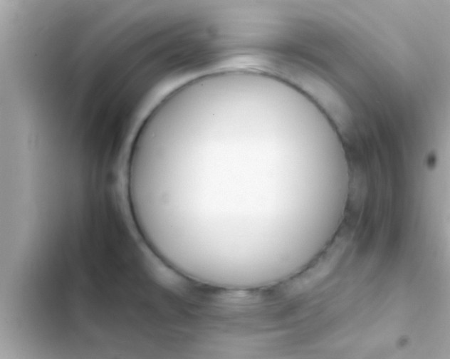 X0000102391478200808151909