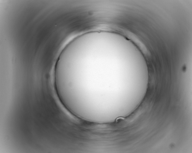 X0000102391479200808151909