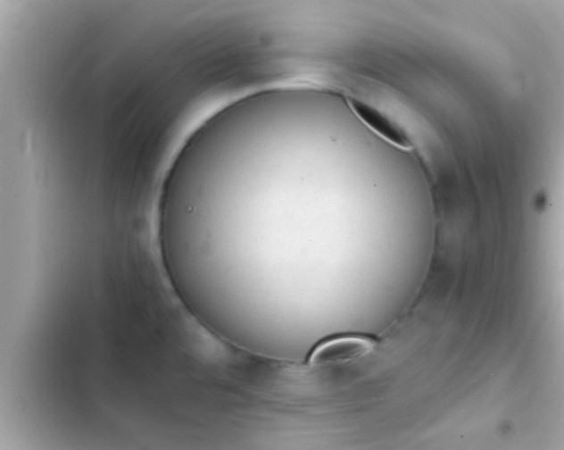 X0000102391480200808151909