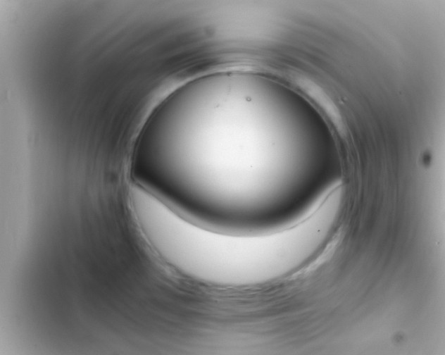 X0000102391481200808151909