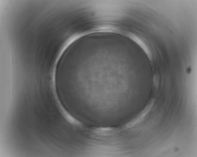 X0000102391482200808151909