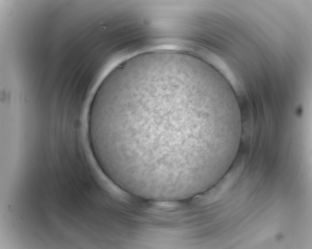 X0000102391483200808151909