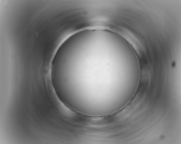 X0000102391484200808151909