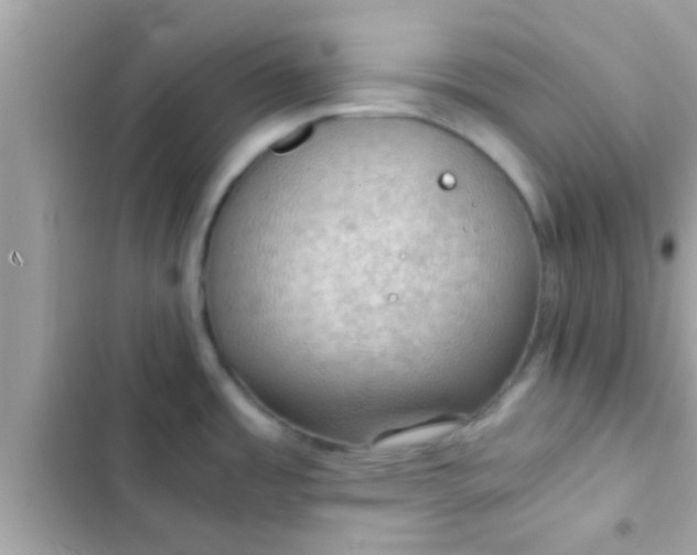 X0000102391485200808151909