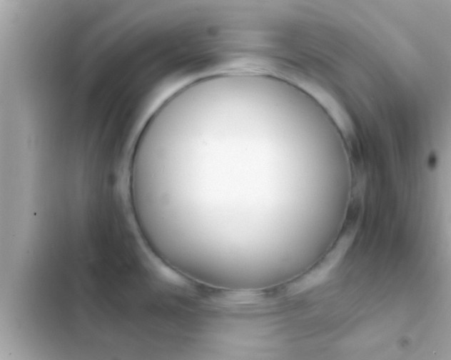 X0000102391486200808151909