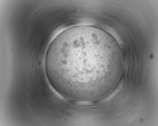 X0000102391487200808151909