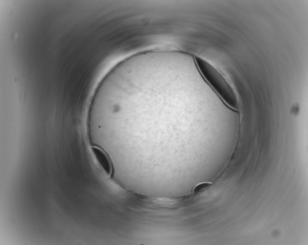 X0000102391488200808151909