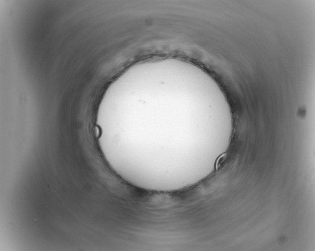 X0000102391489200808151908