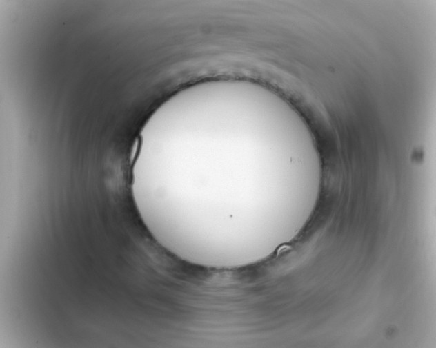 X0000102391490200808151908