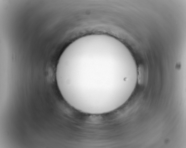 X0000102391491200808151908