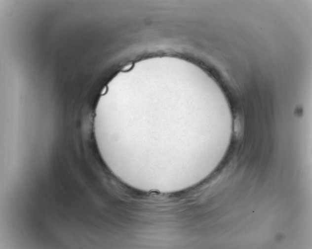 X0000102391492200808151908