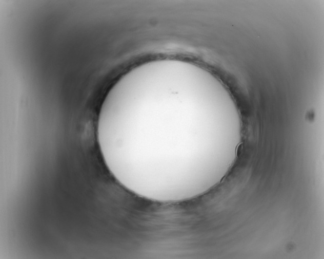 X0000102391493200808151908