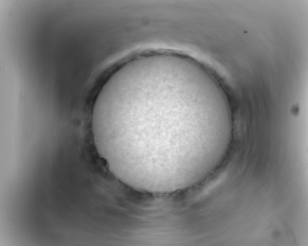 X0000102391494200808151908