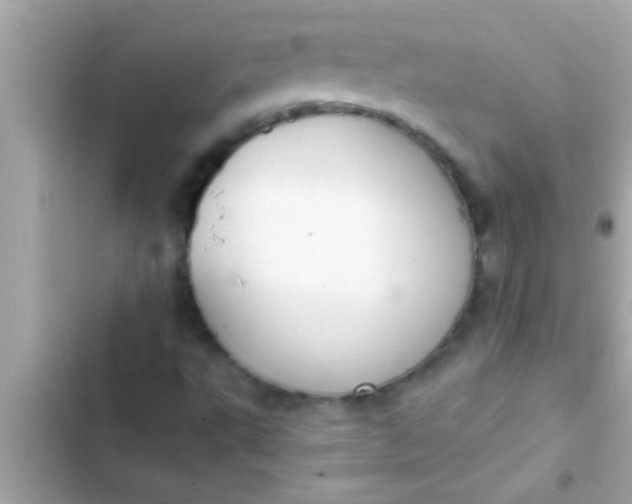 X0000102391495200808151908