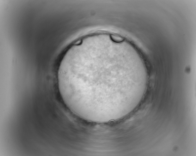 X0000102391496200808151908