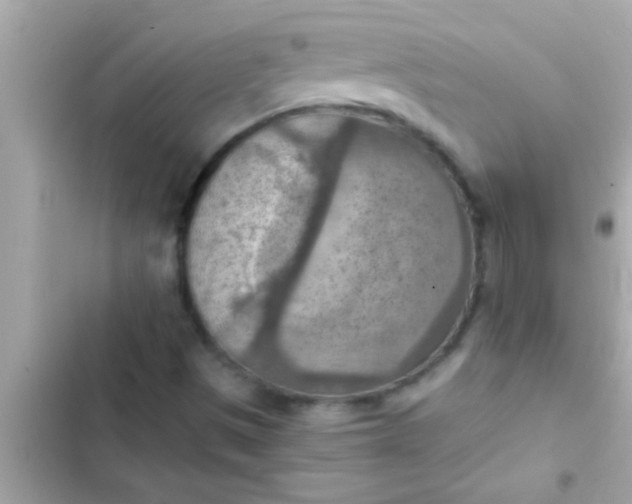 X0000102391497200808151908