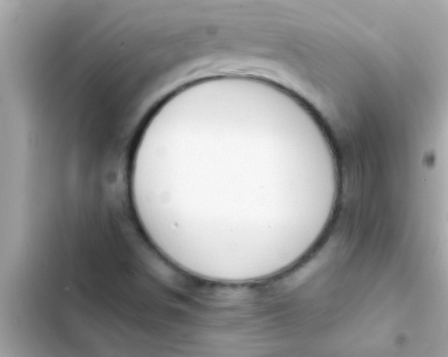 X0000102391498200808151908