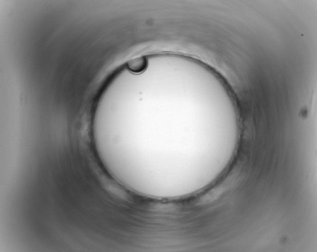 X0000102391499200808151908