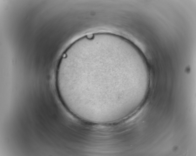 X0000102391500200808151908