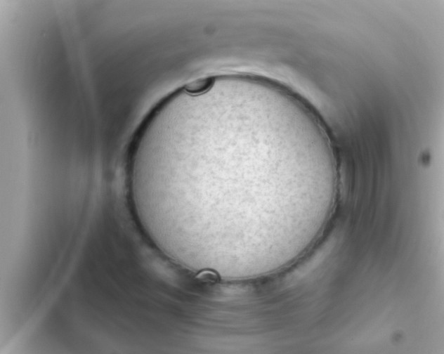 X0000102391501200808151908