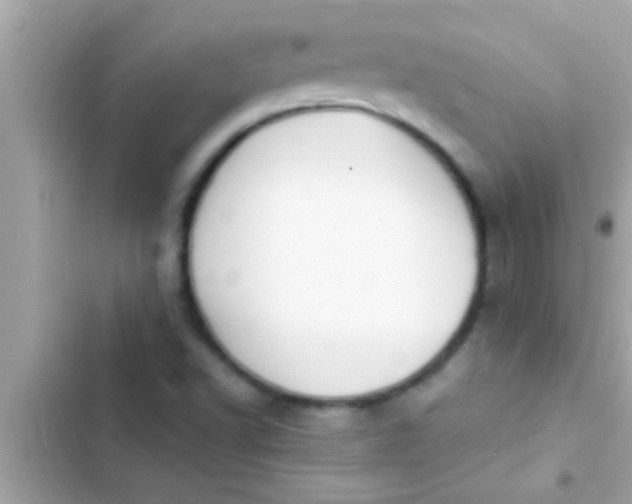 X0000102391502200808151908