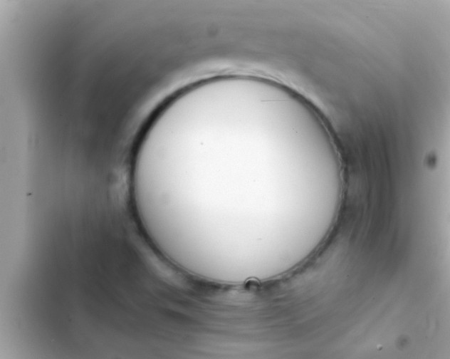 X0000102391503200808151908