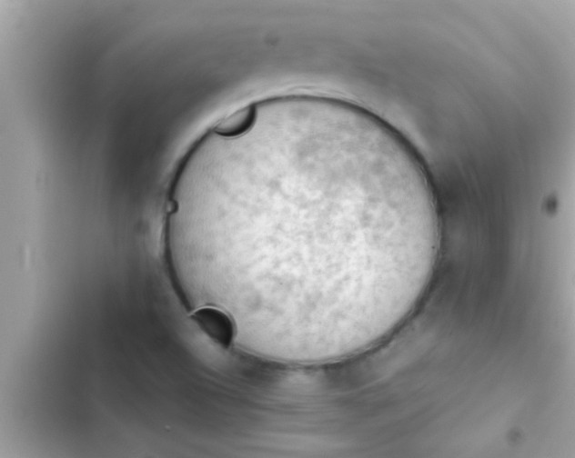 X0000102391504200808151908