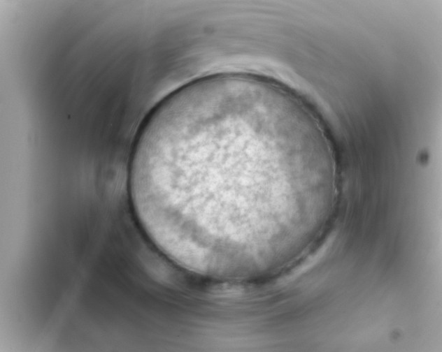 X0000102391505200808151908