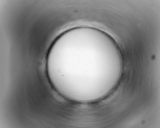 X0000102391507200808151908