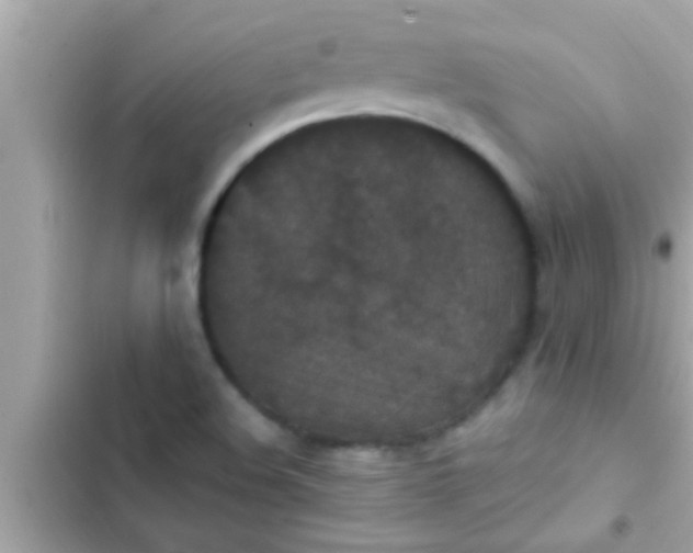 X0000102391508200808151908