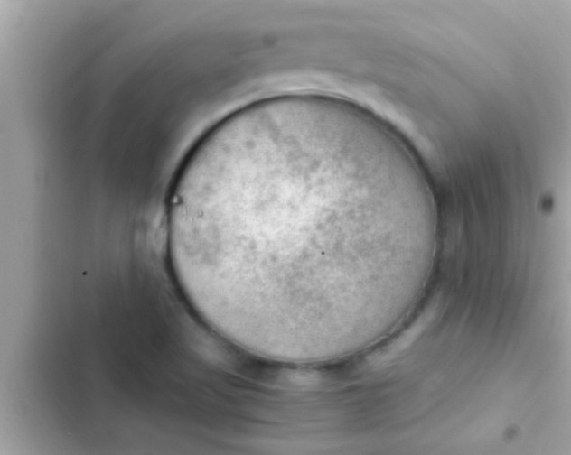 X0000102391509200808151909