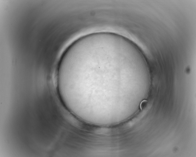 X0000102391510200808151909